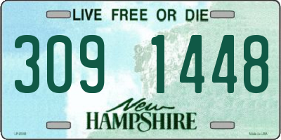 NH license plate 3091448