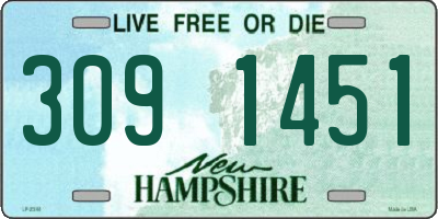 NH license plate 3091451