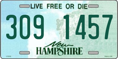 NH license plate 3091457
