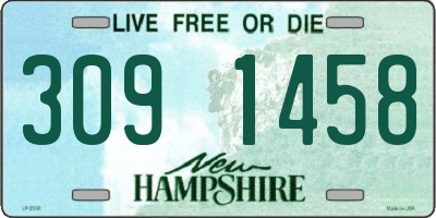 NH license plate 3091458