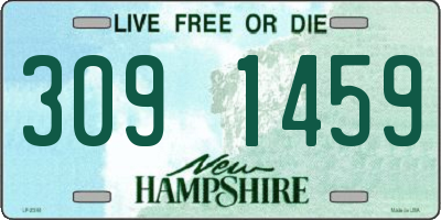 NH license plate 3091459