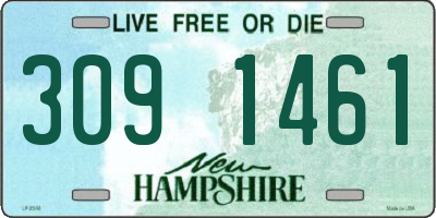 NH license plate 3091461