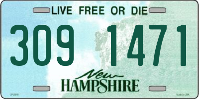 NH license plate 3091471