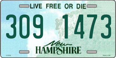 NH license plate 3091473