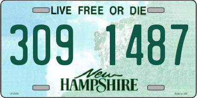 NH license plate 3091487