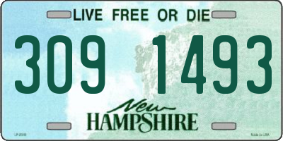 NH license plate 3091493