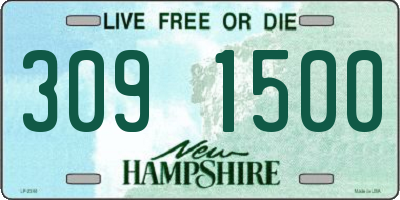 NH license plate 3091500