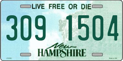 NH license plate 3091504