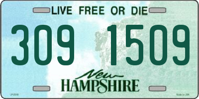 NH license plate 3091509