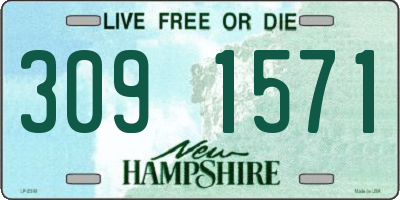 NH license plate 3091571