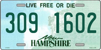 NH license plate 3091602