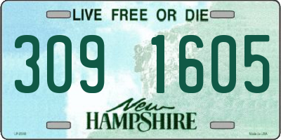 NH license plate 3091605