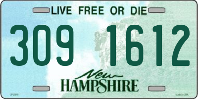 NH license plate 3091612