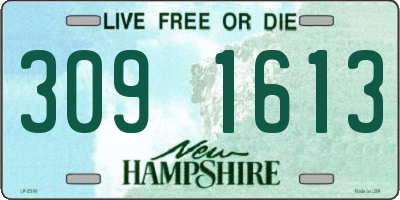NH license plate 3091613