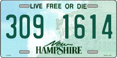 NH license plate 3091614