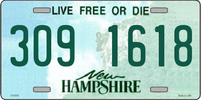 NH license plate 3091618