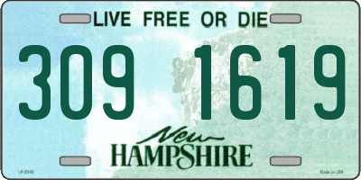 NH license plate 3091619