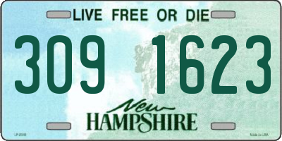 NH license plate 3091623