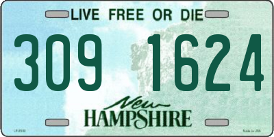 NH license plate 3091624