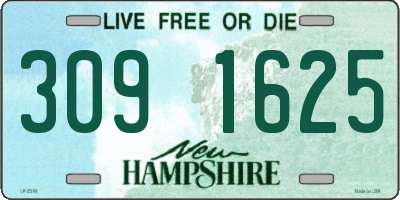 NH license plate 3091625