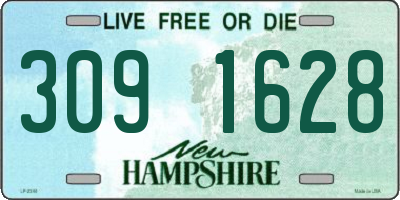 NH license plate 3091628