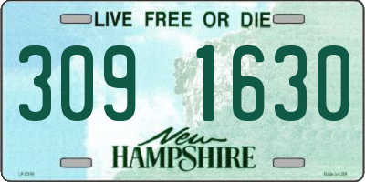NH license plate 3091630