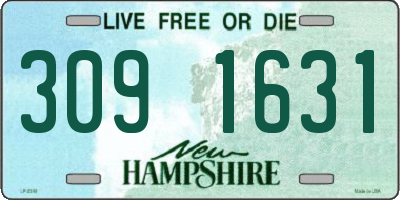 NH license plate 3091631