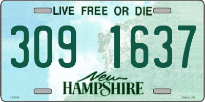 NH license plate 3091637