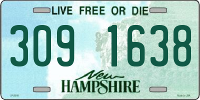 NH license plate 3091638