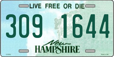 NH license plate 3091644