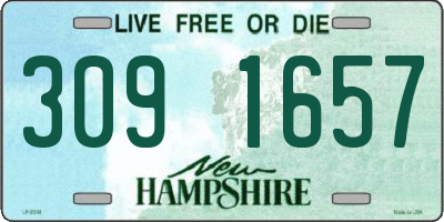 NH license plate 3091657