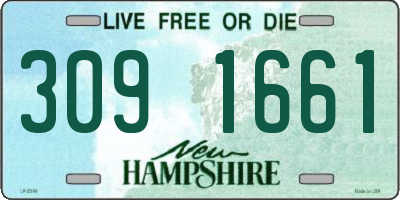 NH license plate 3091661