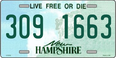 NH license plate 3091663