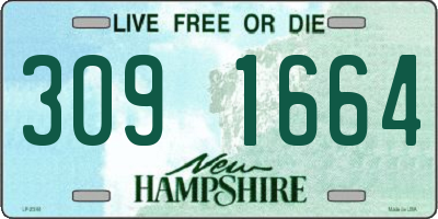 NH license plate 3091664