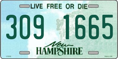 NH license plate 3091665