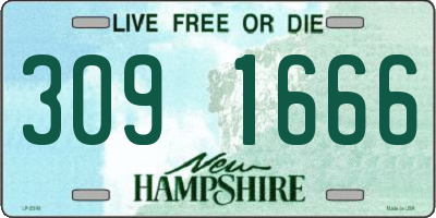 NH license plate 3091666