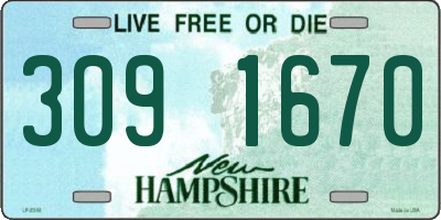 NH license plate 3091670
