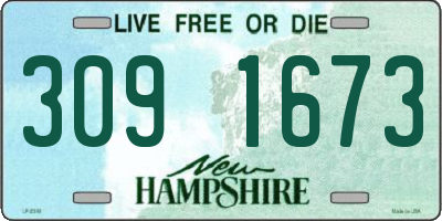 NH license plate 3091673
