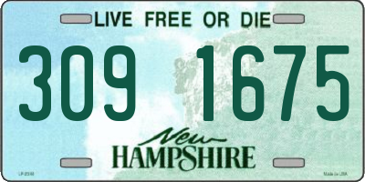NH license plate 3091675