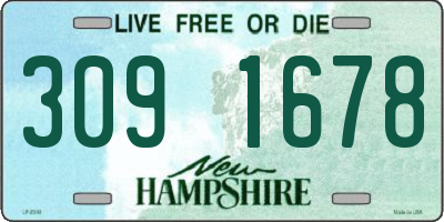 NH license plate 3091678