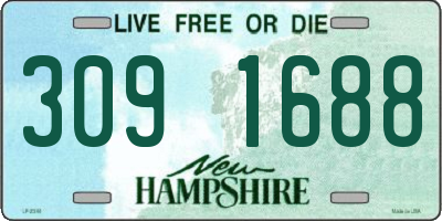 NH license plate 3091688