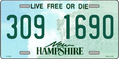 NH license plate 3091690