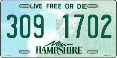 NH license plate 3091702