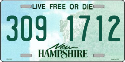 NH license plate 3091712