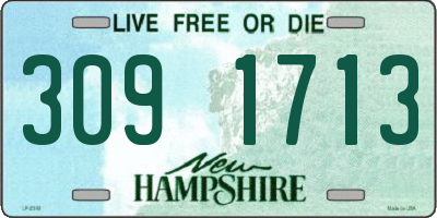 NH license plate 3091713