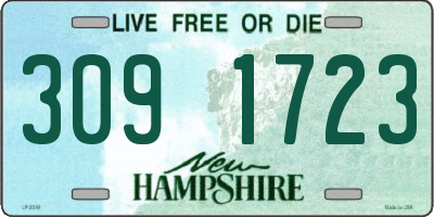 NH license plate 3091723
