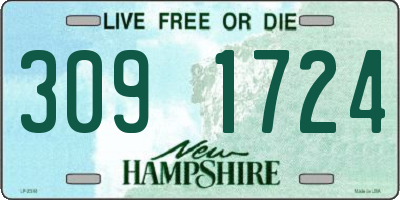 NH license plate 3091724