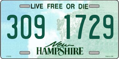 NH license plate 3091729