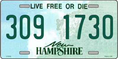 NH license plate 3091730