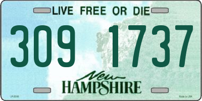 NH license plate 3091737